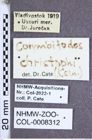 Etiketten zu Corymbitodes christophi (Kiesenwetter, 1879) (NHMW-ZOO-COL-0008312)